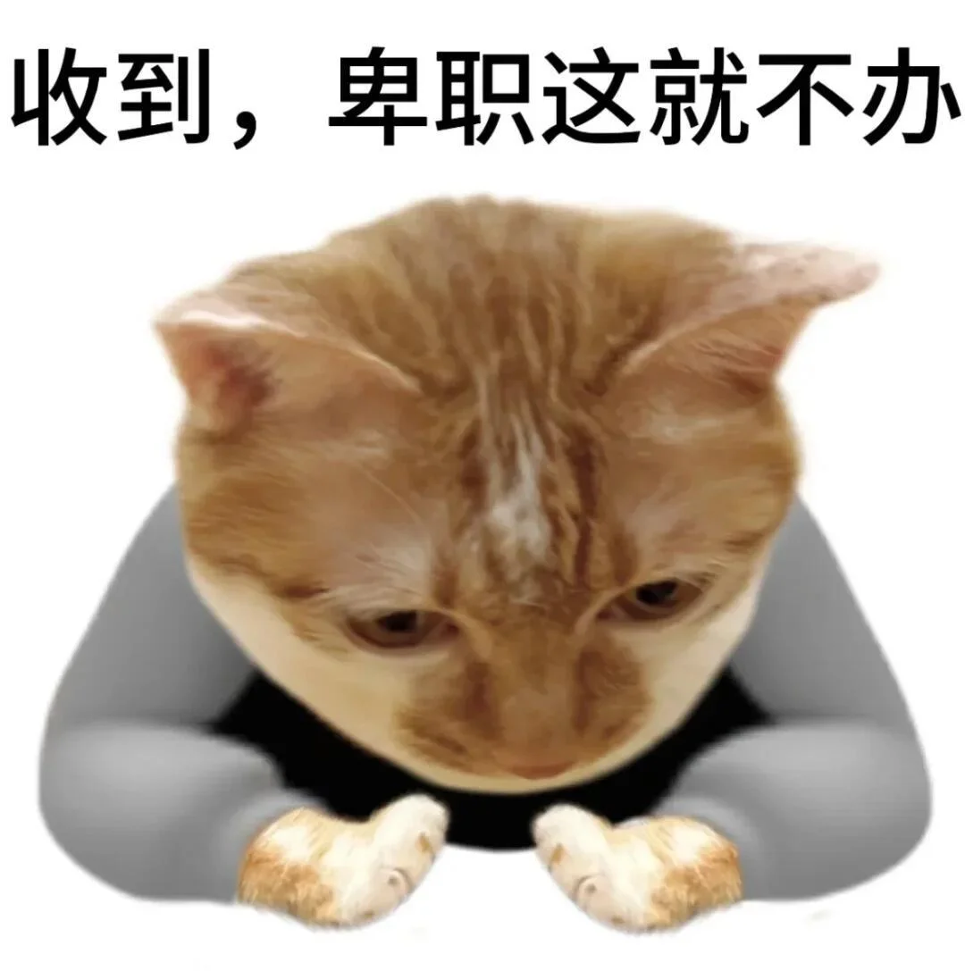 低头的猫，配字：收到，卑职这就不办
